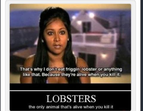 snooki lobster - That's why I dont eat friggin' lobster or anything that. Because they're alive when you kill it Lobsters the only animal that's alive when you kill it