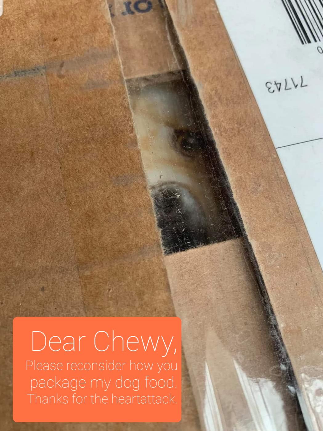 floor - Exlil Dear Chewy, Please reconsider how you package my dog food. Thanks for the heartattack.