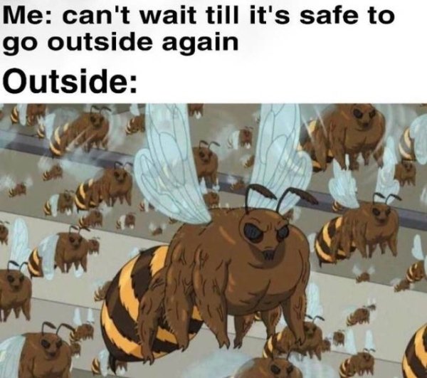 Internet meme - Me can't wait till it's safe to go outside again Outside