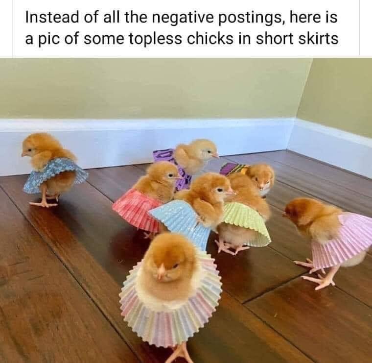 chicks in skirts - Instead of all the negative postings, here is a pic of some topless chicks in short skirts