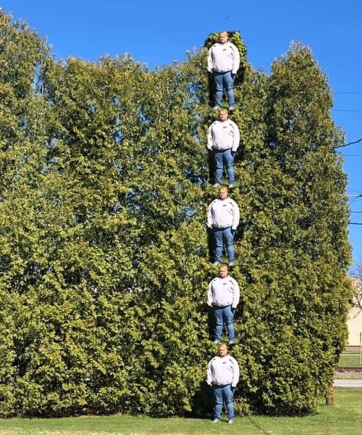 genius problem solvers - guy measuring height of trees using his own body