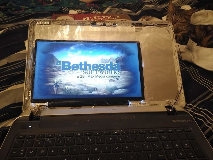 cursed computer - Bethesda Softworks a ZeniMax Media company Qwer