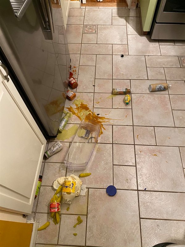 refrigerator shelf broke and spilled food everywhere