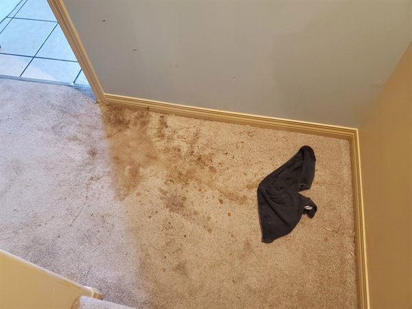 person twisted their ankle and spilled their soup on the carpet