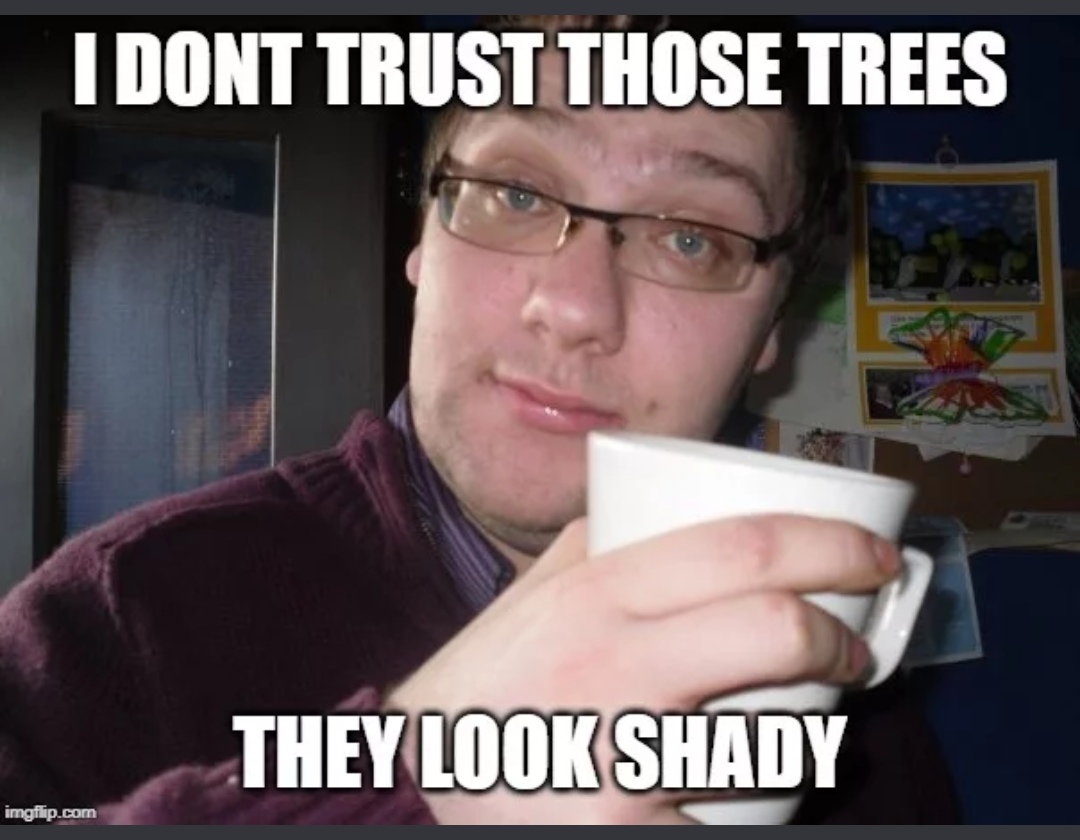 anthony davis meme - I Dont Trust Those Trees They Look Shady imgflip.com