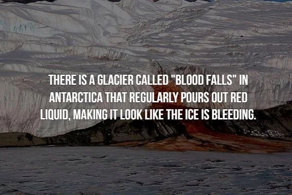 blood falls antarctica - There Is A Glacier Called "Blood Falls" In Antarctica That Regularly Pours Out Red Liquid, Making It Look The Ice Is Bleeding.