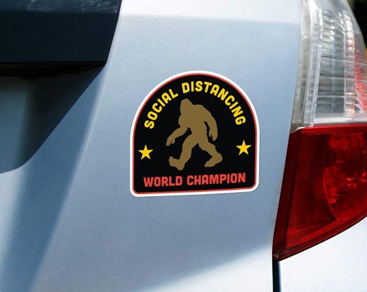 vehicle registration plate - Ocial Dis Ncing World Champion