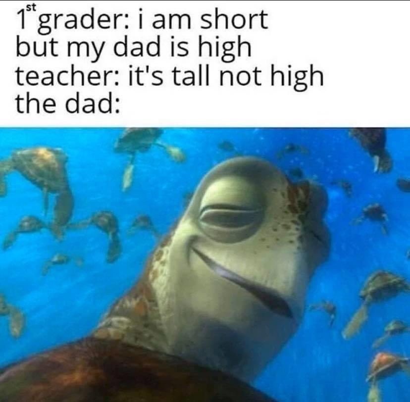 finding nemo high turtle meme - 1 grader i am short but my dad is high teacher it's tall not high the dad
