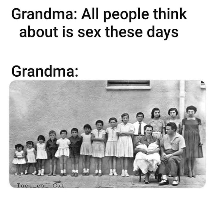 Grandma All people think about is sex these days Grandma Tactical Cat