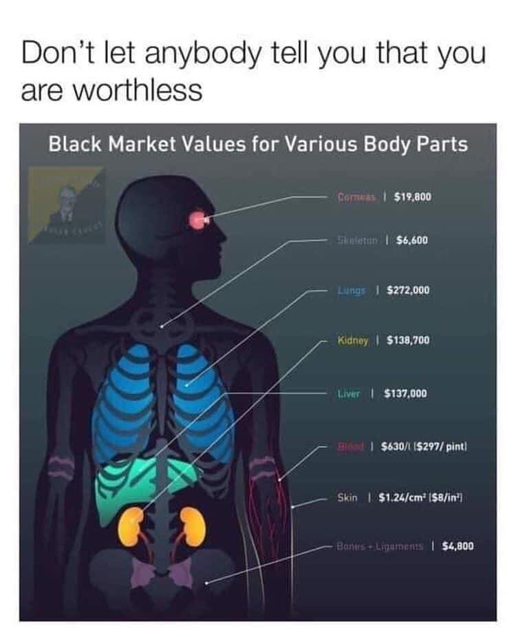 don t let anybody tell you that you are worthless - Don't let anybody tell you that you are worthless Black Market Values for Various Body Parts Corries $19.800 Sikhetein | $6.600 Lung's | $272,000 Kidney $138,700 Liver | $137,000 1 $630 $297 pint! Skin $