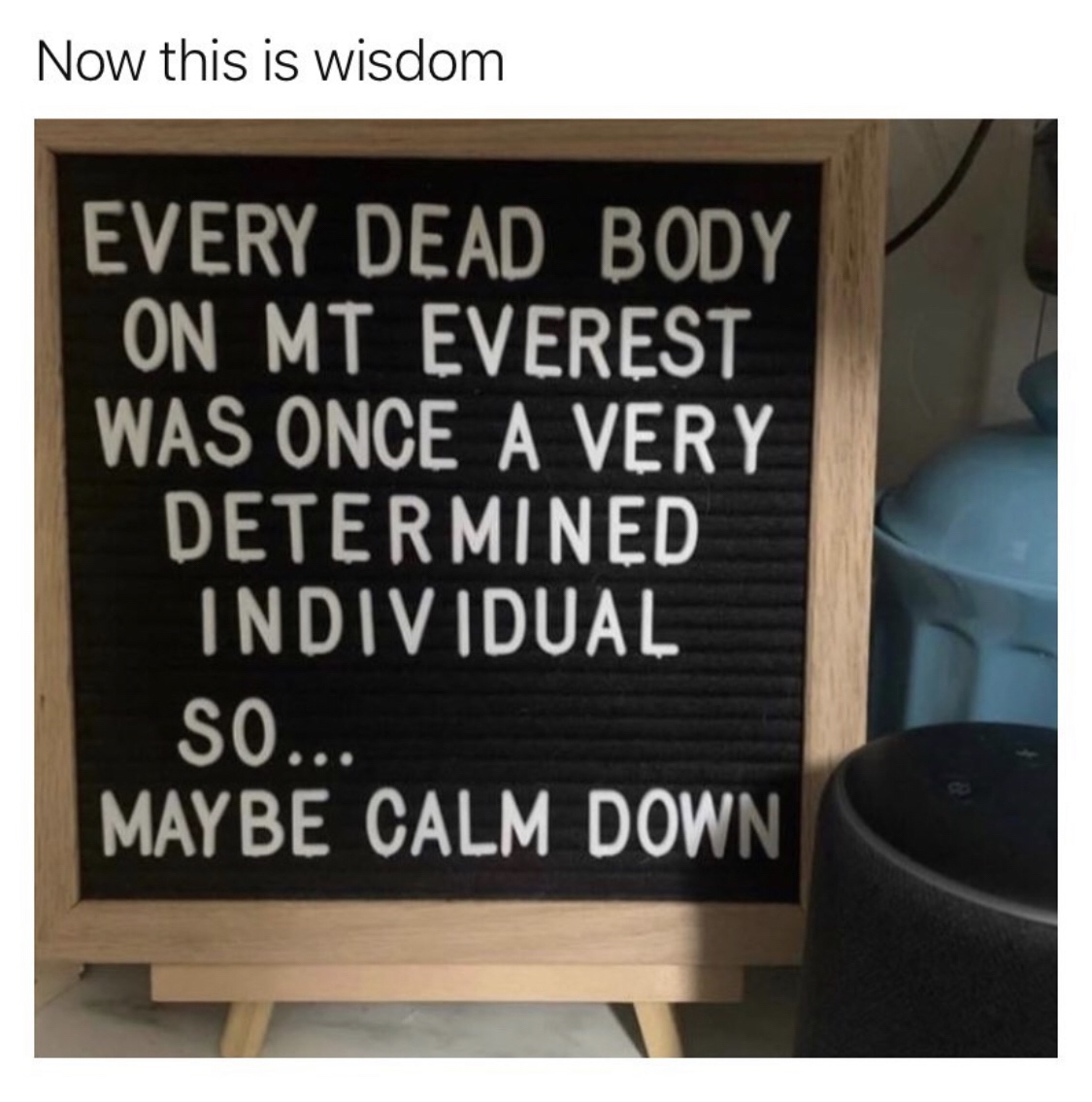 every dead body on mount everest was once a determined person - Now this is wisdom Every Dead Body On Mt Everest Was Once A Very Determined Individual So.. Maybe Calm Down
