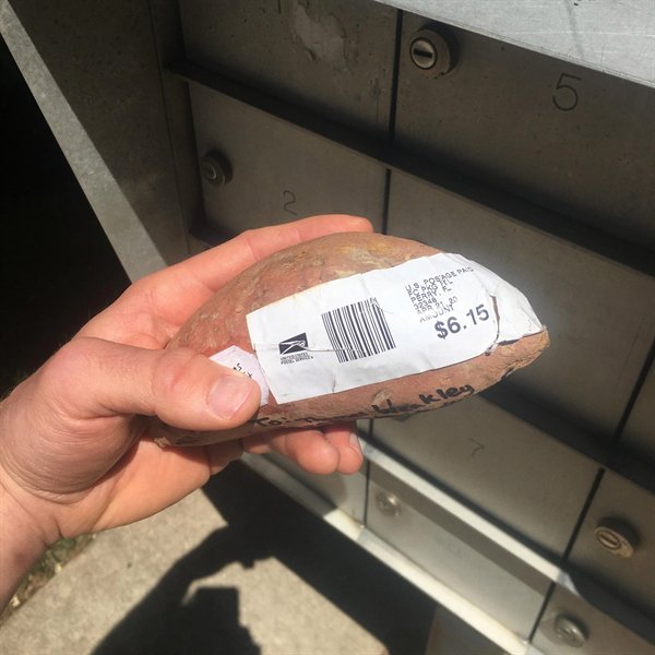 “My co-worker mailed me a potato.”