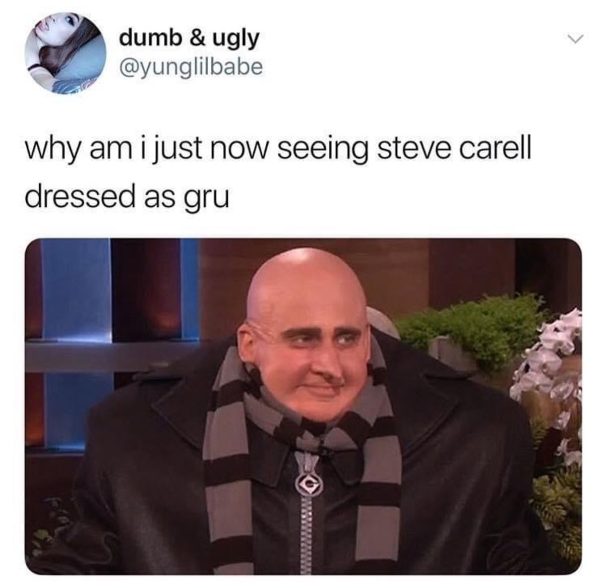 steve carell gru meme - dumb & ugly why am i just now seeing steve carell dressed as gru Www