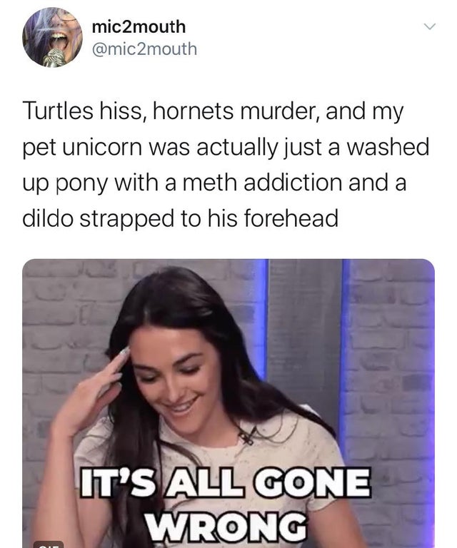 photo caption - mic2mouth Turtles hiss, hornets murder, and my pet unicorn was actually just a washed up pony with a meth addiction and a dildo strapped to his forehead It'S All Gone Wrong
