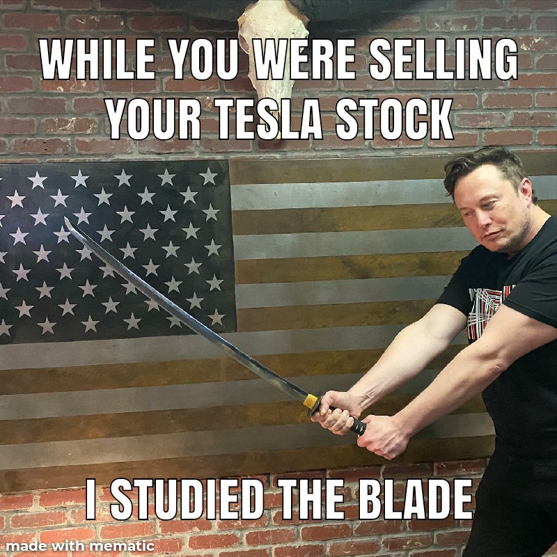Elon Musk - made with mematic I Studied The Blade z Your Tesla Stock While You Were Selling