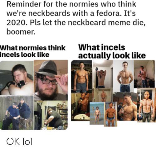 neckbeard meme - Reminder for the normies who think we're neckbeards with a fedora. It's 2020. Pls let the neckbeard meme die, boomer. What normies think incels look What incels actually look Ok lol