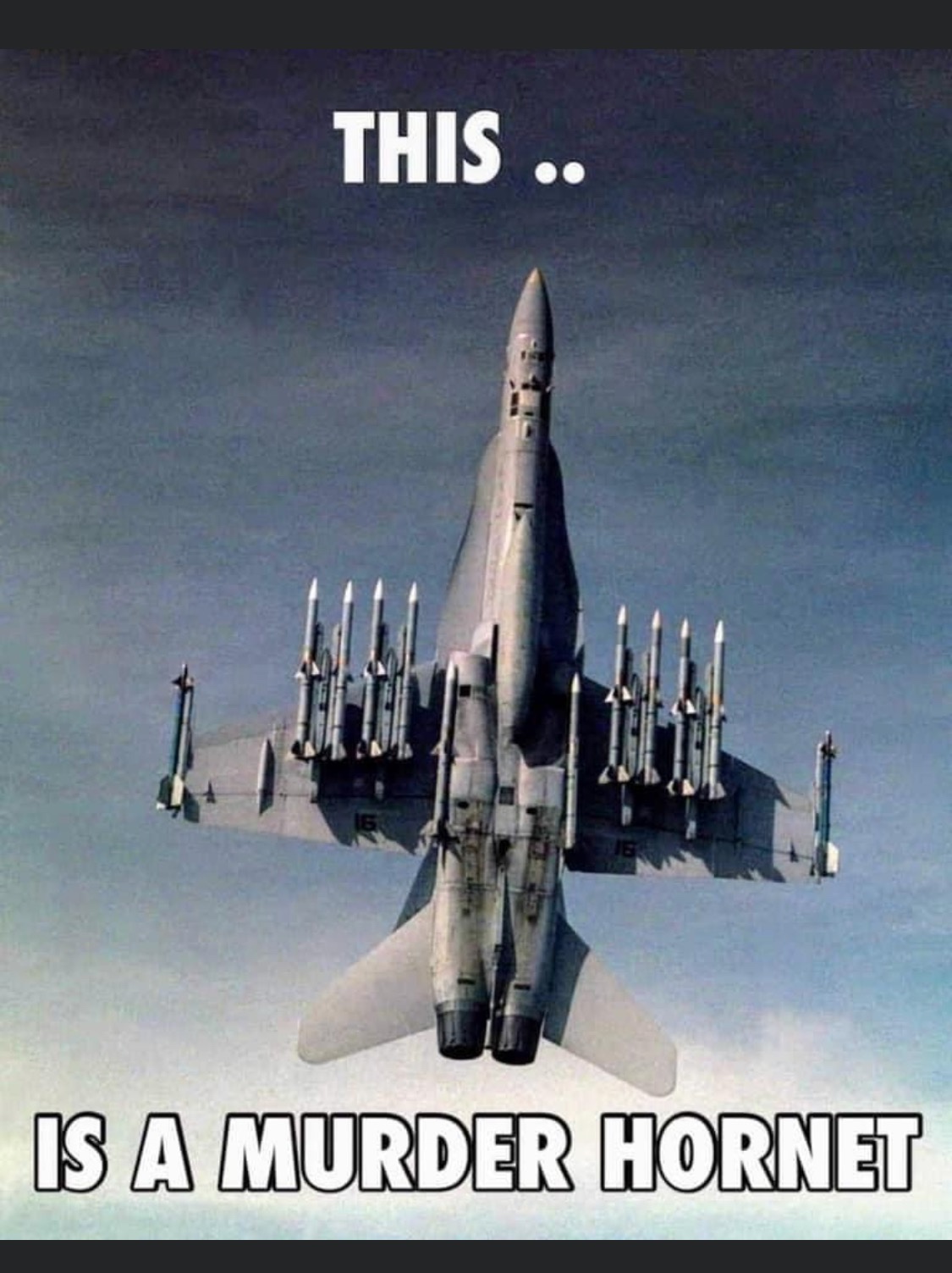 fighter jet fully armed - This .. Is A Murder Hornet