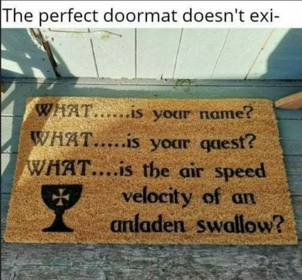 monty python doormat - The perfect doormat doesn't exi What......is your name? What.....is your quest? What....is the air speed velocity of an anladen swallow?