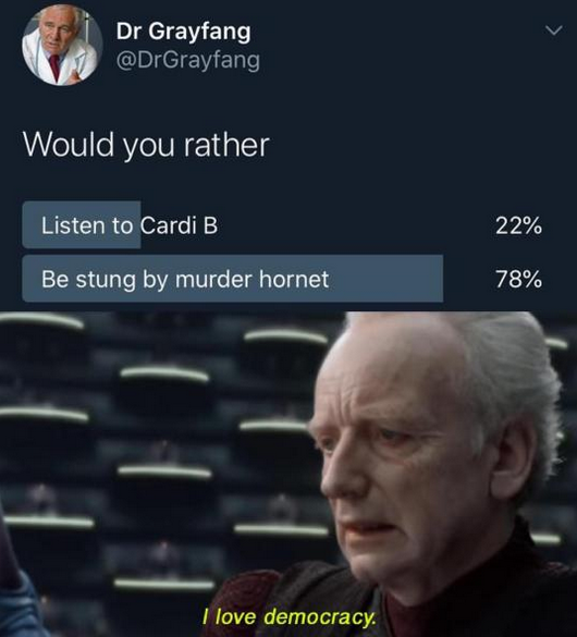 love democracy memes - Dr Grayfang Would you rather Listen to Cardi B 22% Be stung by murder hornet 78% I love democracy.