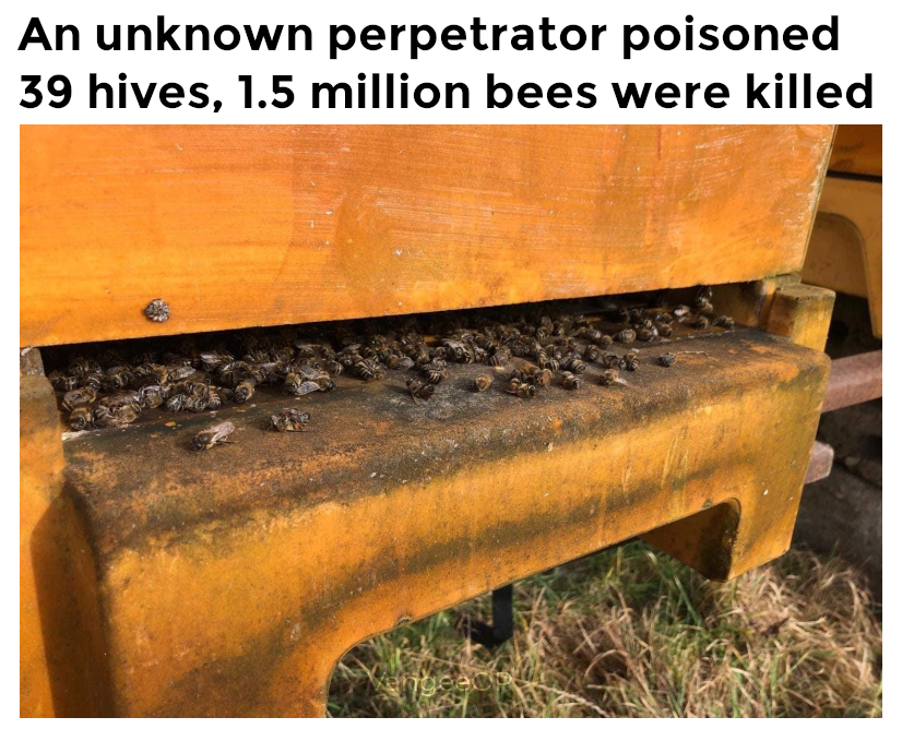 NASDAQ:KTOS - An unknown perpetrator poisoned 39 hives, 1.5 million bees were killed