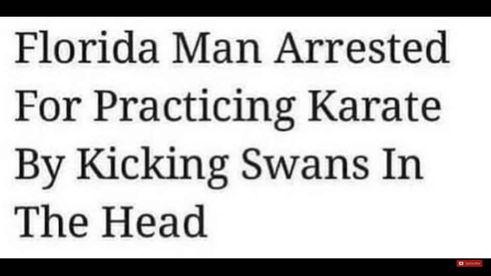 handwriting - Florida Man Arrested For Practicing Karate By Kicking Swans In The Head Sunbe