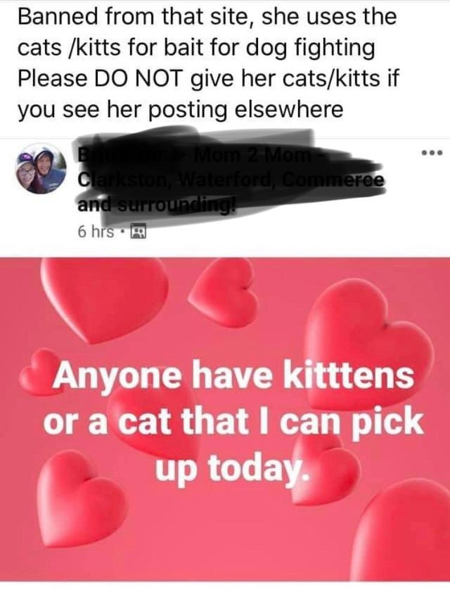 lip - Banned from that site, she uses the cats kitts for bait for dog fighting Please Do Not give her catskitts if you see her posting elsewhere Mom 2 Mom Clarkston, Waterford, Commeree and surrounding 6 hrs. Anyone have kitttens or a cat that I can pick 