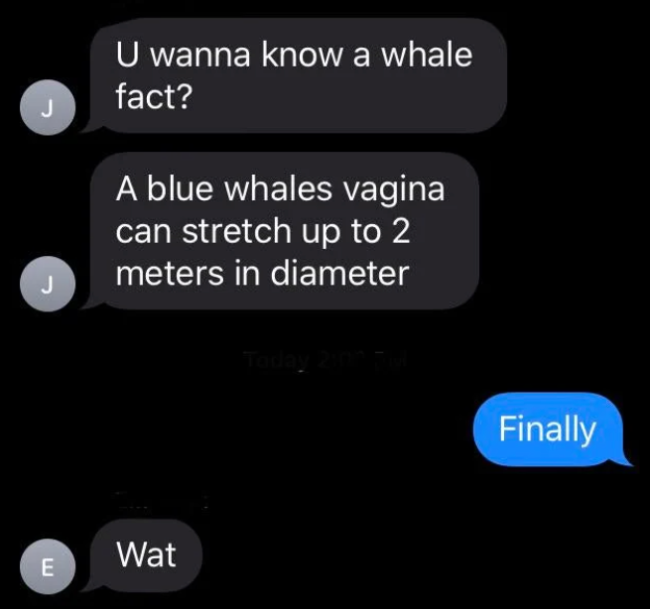 funny texts - U wanna known a whale fact? a blue whales vagina can stretch up to 2 meters in diameter. finally wat