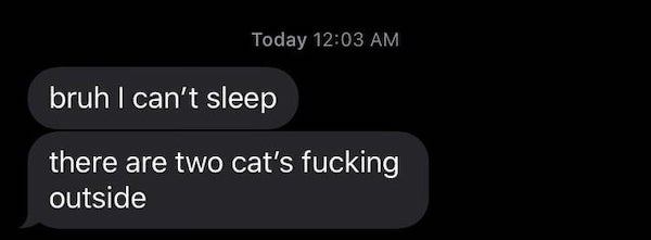 funny texts - bruh I can't sleep there are two cat's fucking outside