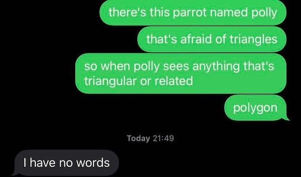 funny texts - there's this parrot named polly that's afraid of triangles so when polly sees anything that's triangular or related polygon. I have no words.