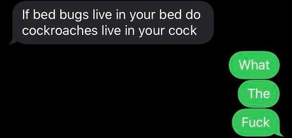 funny texts - if bed bugs live in your bed do cockroaches live in your cock? what the fuck