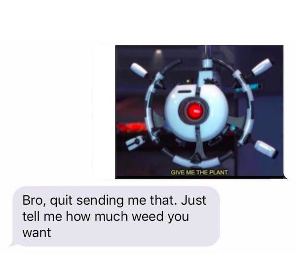 funny texts - bro quit sending me that just tell me how much weed you want