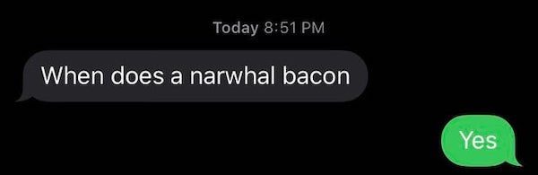 funny texts - when does a narwhal bacon. Yes