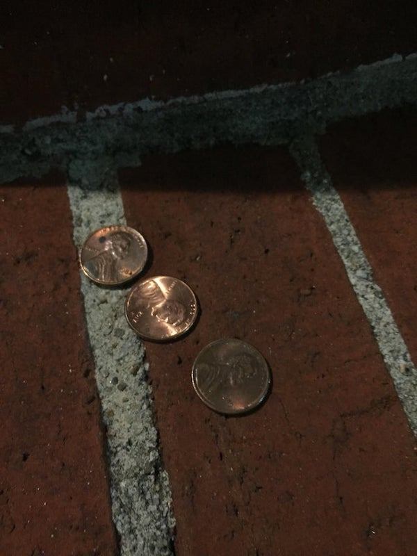 Finding 3 pennies all faces up.. hopefully this means good luck