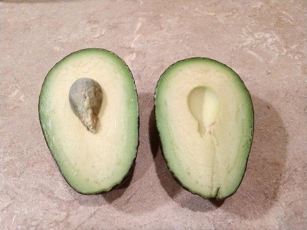 I feel like I really lucked out with this avocado