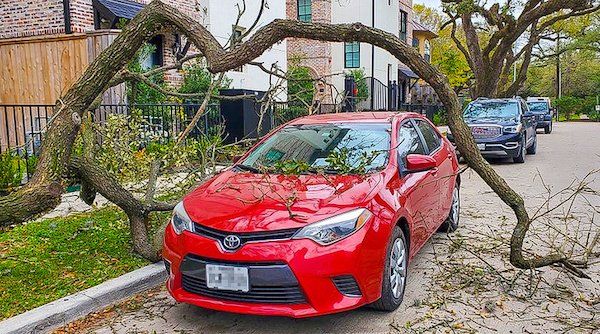 The way this branch fell around this car