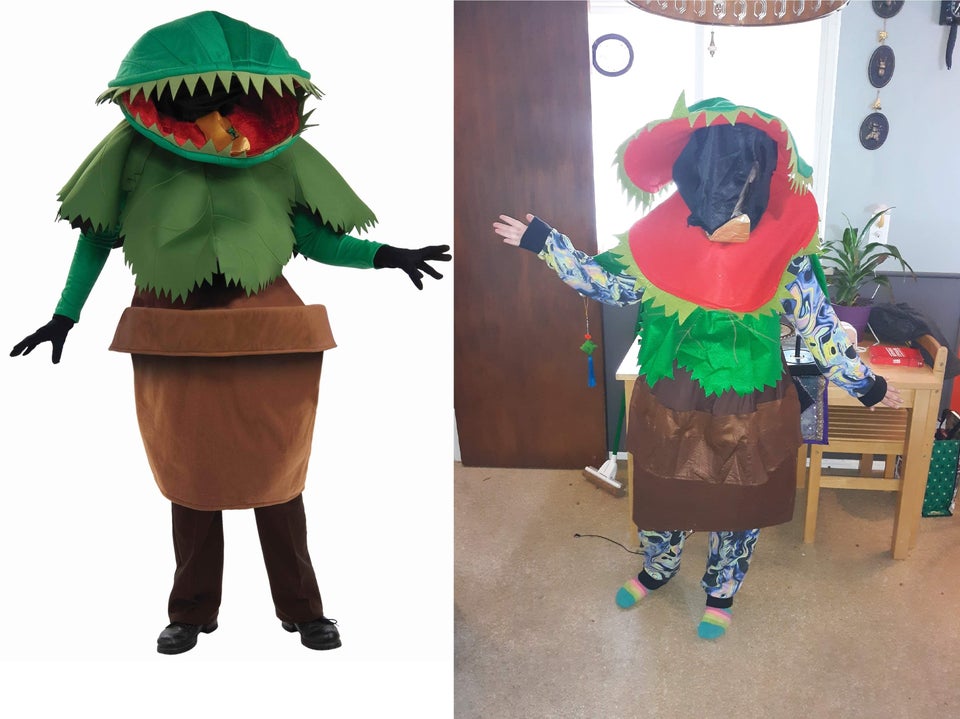 venus fly trap costume