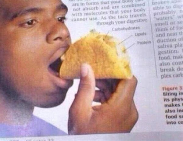 eating a taco vertically nutrition textbook
