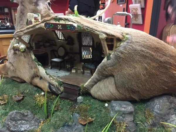 deer hobbit house