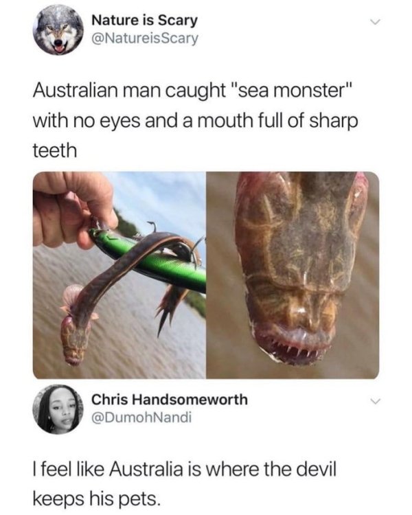 australian man caught a sea monster - Nature is Scary Scary Australian man caught "sea monster" with no eyes and a mouth full of sharp teeth Chris Handsomeworth I feel Australia is where the devil keeps his pets.