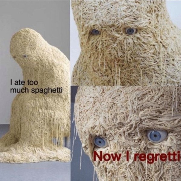 spaghetti regretti - I ate too much spaghetti Now I regretti