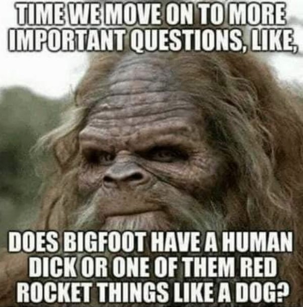 time we move on to a more important question - Time We Move On To More Important Questions, Does Bigfoot Have A Human Dick Or One Of Them Red Rocket Things A Dog?