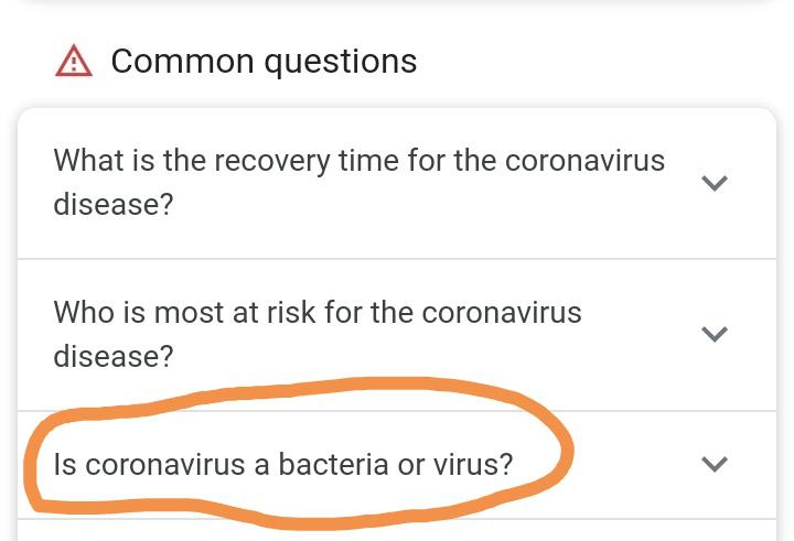 angle - A Common questions What is the recovery time for the coronavirus disease? Who is most at risk for the coronavirus disease? Is coronavirus a bacteria or virus?