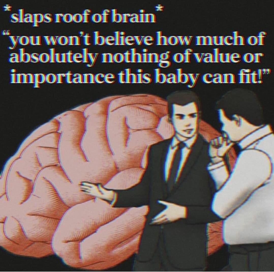 human behavior - slaps roof of brain you won't believe how much of absolutely nothing of value or importance this baby can fit!