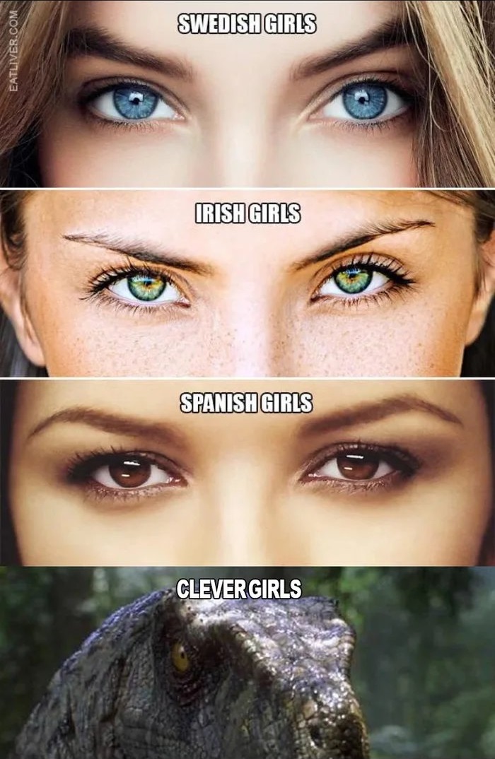 russian meme - Swedish Girls Eatliver.Com Irish Girls Spanish Girls Clever Girls