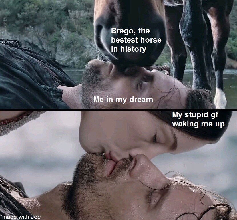 maggoty bread meme - Brego, the bestest horse in history Me in my dream My stupid gf waking me up made with Joe