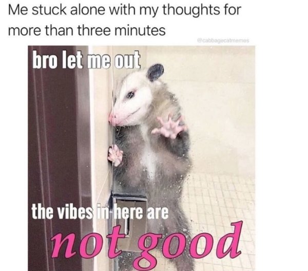photo caption - Me stuck alone with my thoughts for more than three minutes bro let me out cabbaglocatmam the vibes in here are not good