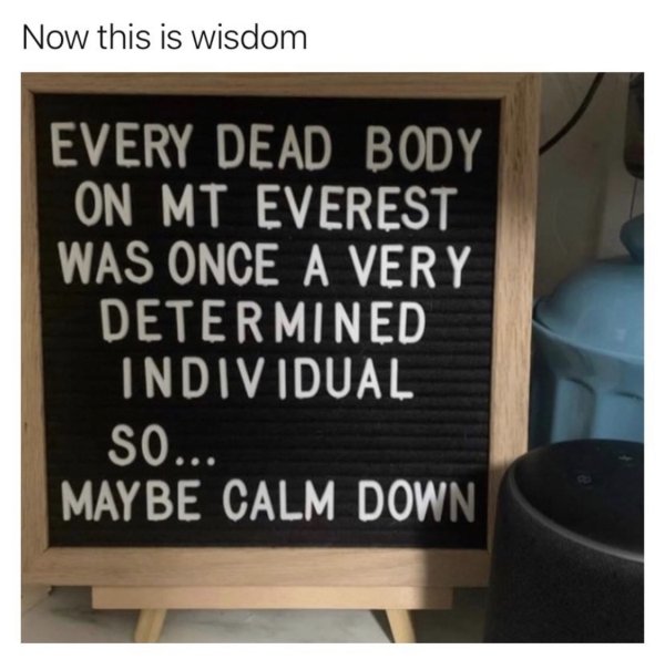 every dead body on everest was once a highly motivated individual so m - Now this is wisdom Every Dead Body On Mt Everest Was Once A Very Determined Individual So... May Be Calm Down