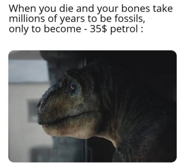 you die and your bones meme - When you die and your bones take millions of years to be fossils, only to become 35$ petrol