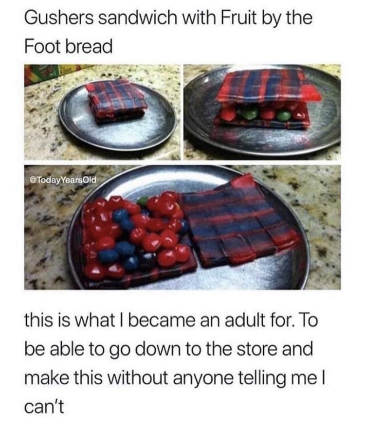 fruit snack memes - Gushers sandwich with Fruit by the Foot bread Years Old this is what I became an adult for. To be able to go down to the store and make this without anyone telling mel can't