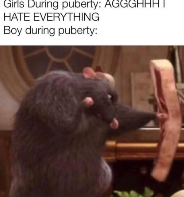 memes de ratatouille - Girls During puberty Aggghhh I Hate Everything Boy during puberty